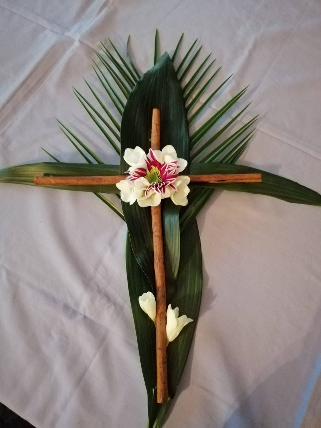 B&aacute;rbara Oliveira Moutinho E6&ordm;A 