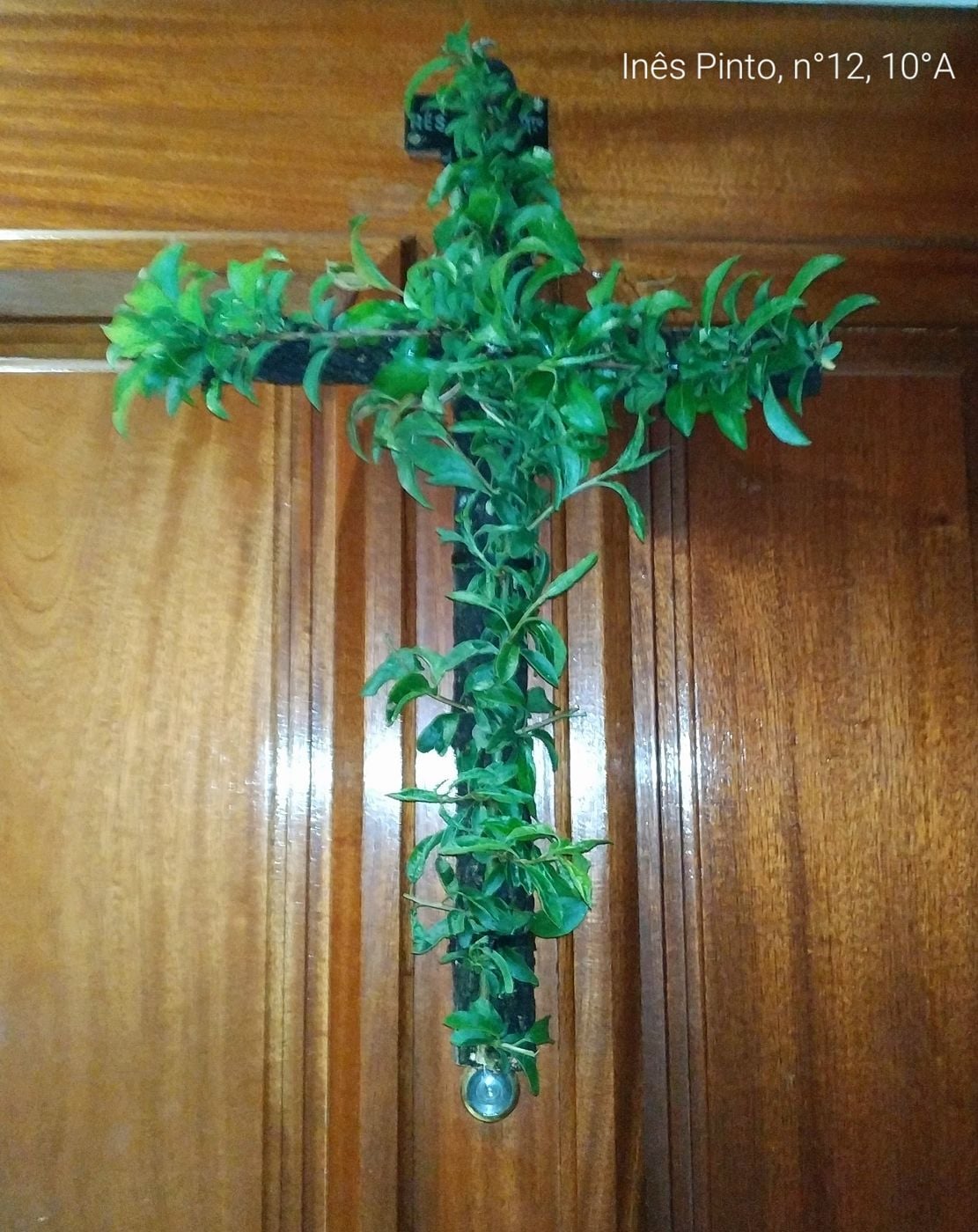 In&ecirc;s Pinto 10&ordm;A